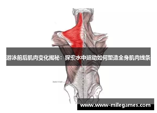 游泳前后肌肉变化揭秘:探索水中运动如何塑造全身肌肉线条