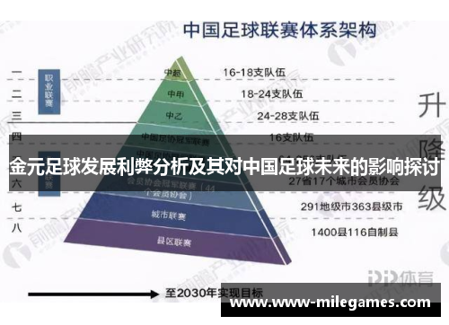 金元足球发展利弊分析及其对中国足球未来的影响探讨