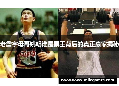 老詹字母哥姚明谁是票王背后的真正赢家揭秘