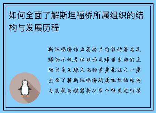 如何全面了解斯坦福桥所属组织的结构与发展历程