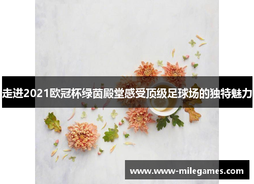 走进2021欧冠杯绿茵殿堂感受顶级足球场的独特魅力