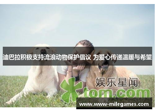 迪巴拉积极支持流浪动物保护倡议 为爱心传递温暖与希望